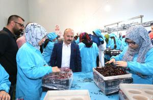 9abdef2d-4b32-4015-97ed-33b205e0c195