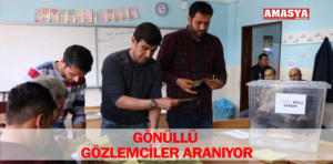 gönüllü gözlemci