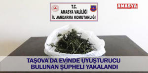 taşova uyuşturucu