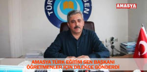 türk eğitim sen dilekçe