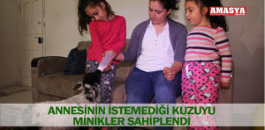 annesinin istemediği kuzu