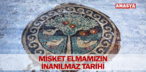 misket elma tarih