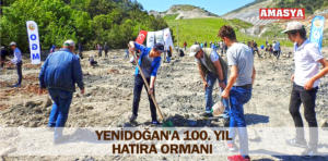 100.yıl orman yenidoğan 1