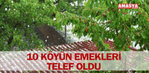 köy telef 1