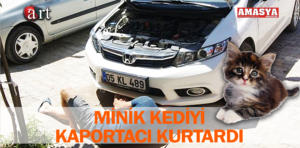 motora sıkışan kedi 1