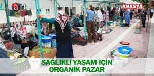 taşova organik pazar 1
