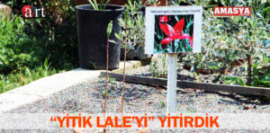 yitik lale 1