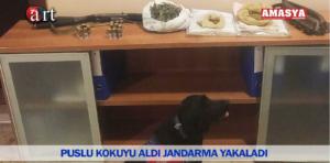 612781d9-ff40-45de-9e9c-4e578c058e63