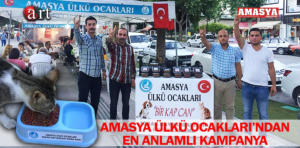 ülkü ocakları sokak hayvanları 1