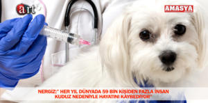 kuduz hastalığı 1