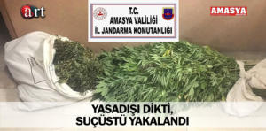uyuştucu dikti suçüstü yakalandı 1