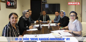 MEME kanseri.
