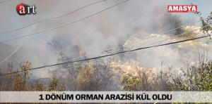 orman yangın 1