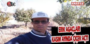 ERİK.