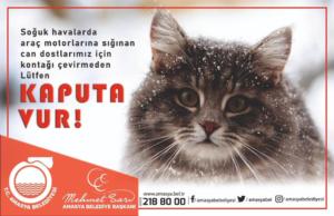 80262200_2875652409133018_6525002238358716416_n