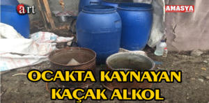 ALKOL.