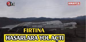 FIRTINA..