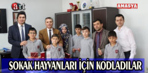 SOkak hayvanları.