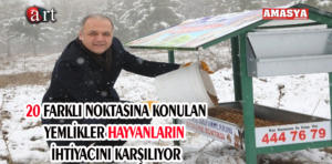 hayvanlar..
