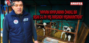 hayvan kayıpları..