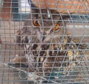 30c6dc00-5883-4198-8806-2eb764677f68