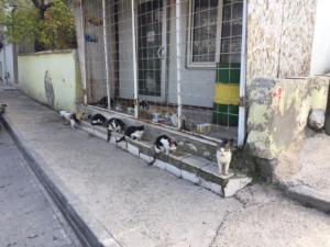 0231c4ff-6d07-469b-834e-965da543e652