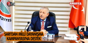 SARI DESTEK.