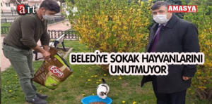 SOKAK HAYVANKARI.Ç.