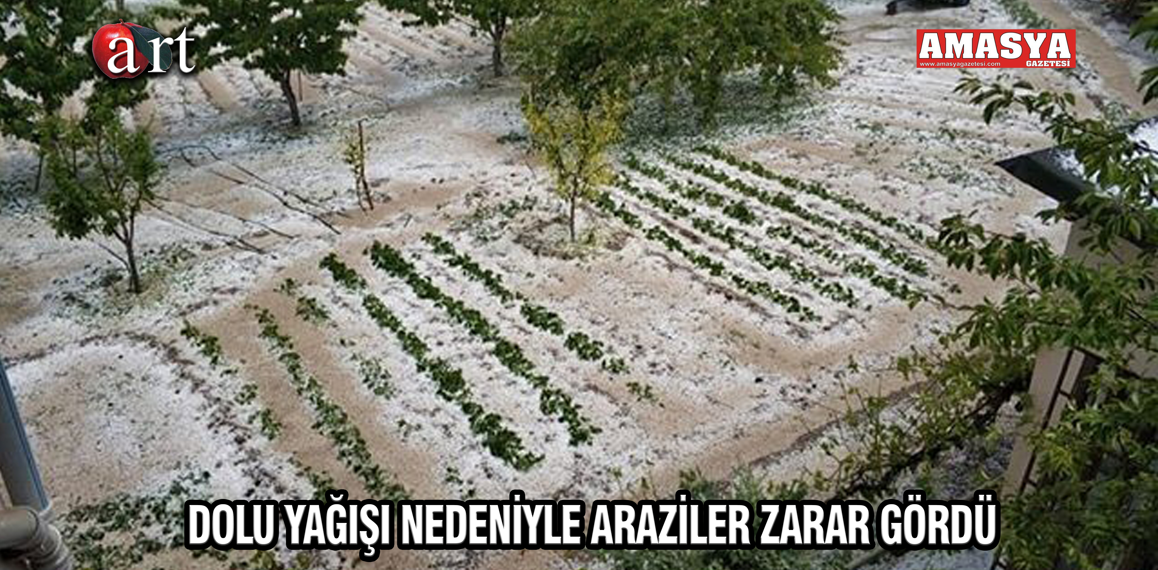 DOLU YAĞIŞI NEDENİYLE ARAZİLER ZARAR GÖRDÜ
