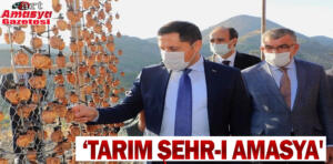 seırr amaf