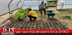 dahayesilamasyaıcın