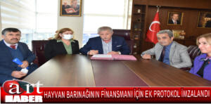 hayvanbarınagı