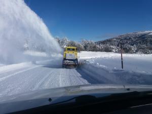 269609902_766974024706030_6516423804826573001_n