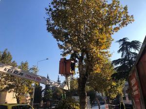 312025425_5903897036308525_4570576717819871687_n