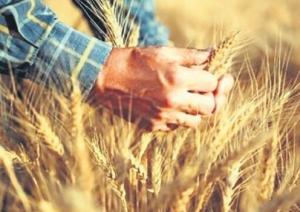 317622699_998815994855164_9093939591281276973_n