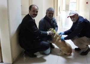 321036164_1268853580331590_5793578351936817605_n