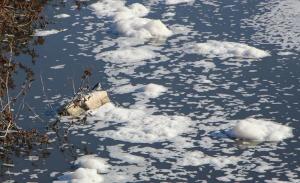 p4mZ6muHaku609e1fLXqSg