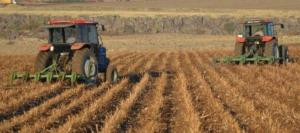 328490295_1134788423870451_1190506028863018155_n