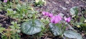 337277099_227950113133314_4826238503513829356_n