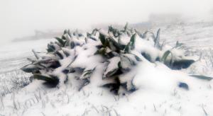 343932463_613249304046210_4721533299599176529_n