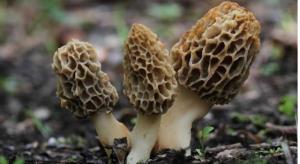 343942395_934875397552012_6765165057571450969_n