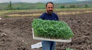 346258162_237458995552483_8065458488612031301_n