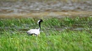 350853843_1295145921082176_7098794209876891519_n