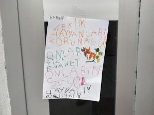 387195157_981801869655146_262222554180873936_n