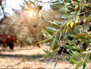 393723857_988953732273293_8558517556316489891_n